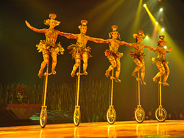 Cirque Du Soleil TOTEM 