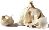 garlic immune system booster