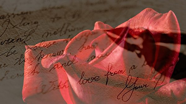 Love Letter Roses