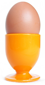 power foods egg