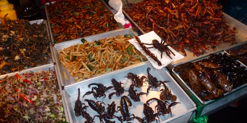 Fried and crunchy edible bugs.