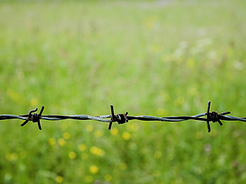 Barbed Wire Cutting