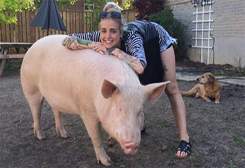 Vegan Phoebe Dykstra and Pig Esther