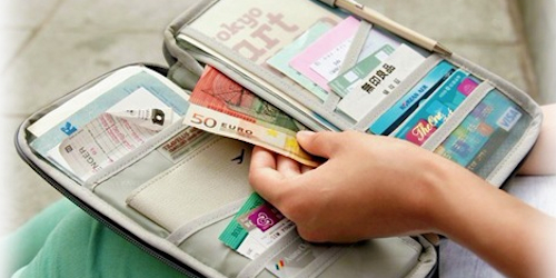 Travel wallet with cards and cash
