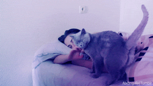 Girl laying in bed with cat