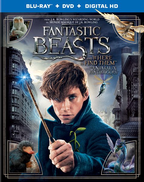 Fantastic Beasts And Where To Find Them DVD