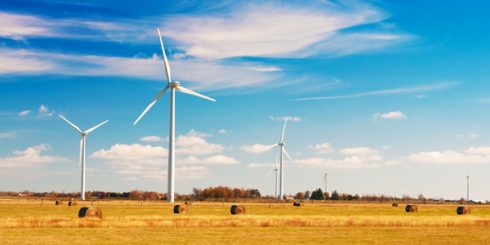 Windfarm in Ontario