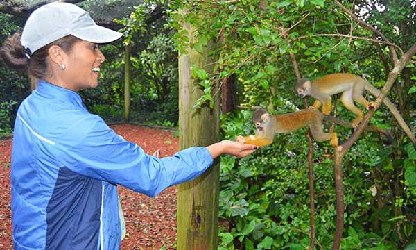 Monkey Jungle - Miami - Feeding Squirrel Monkeys