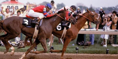 Affirmed and Alydar in the Belmont Stakes at Belmont Park - 1978