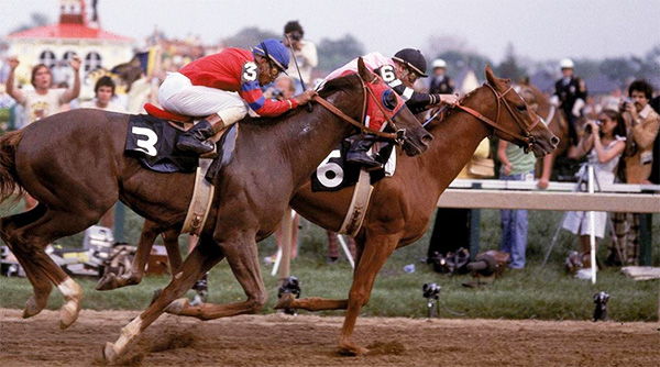 Affirmed and Alydar in the Belmont Stakes at Belmont Park - 1978