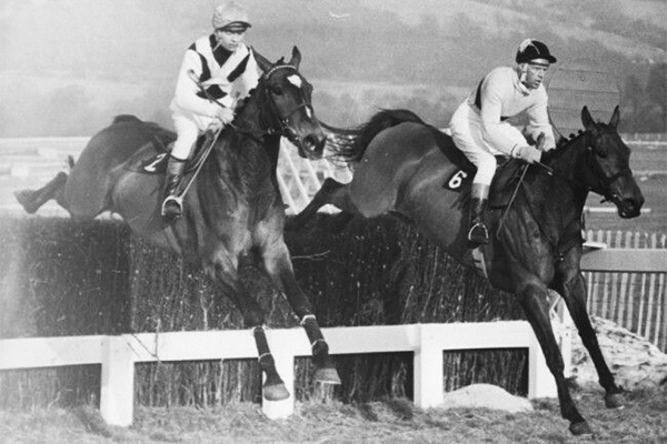 Arkle and Mill House in the Cheltenham Gold Cup - 1964
