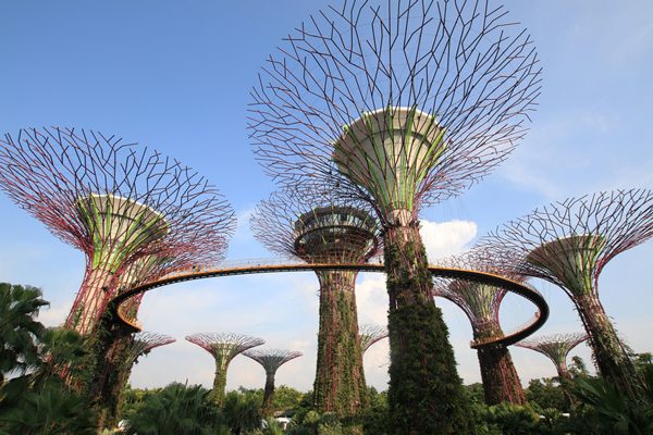 Singapore SuperTrees