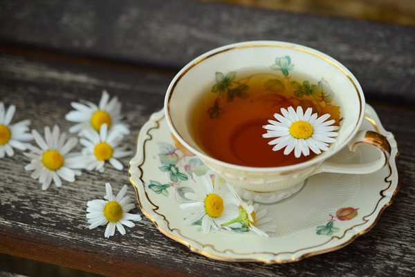 daisy herbal tea