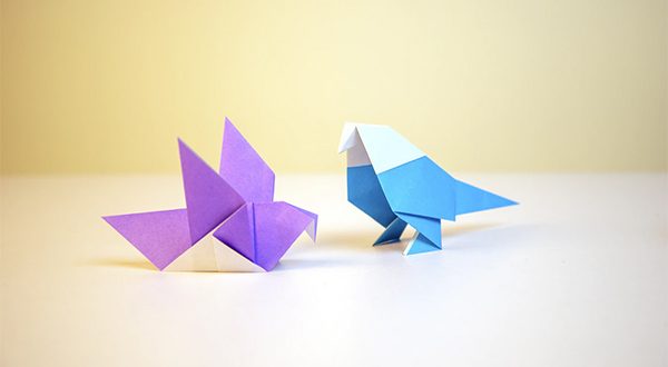 Creativity origami