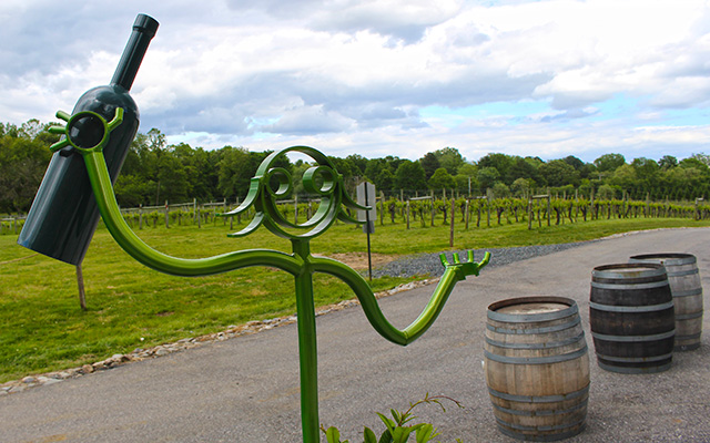 great frogs winery annapolis