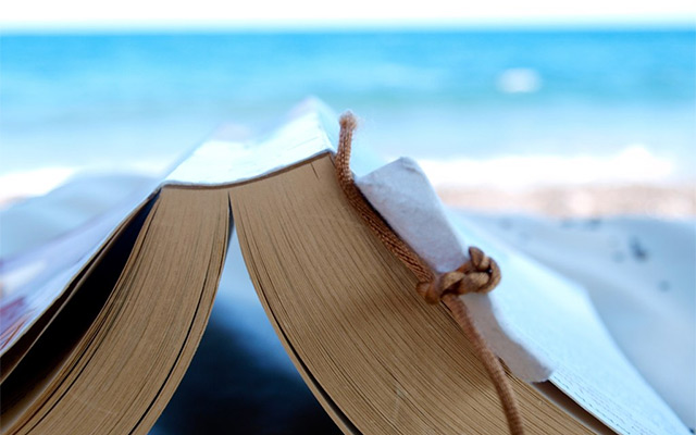 beach book investing