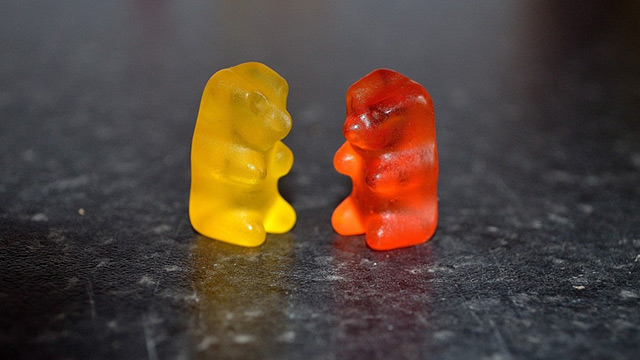 Gummie Bears Gummies