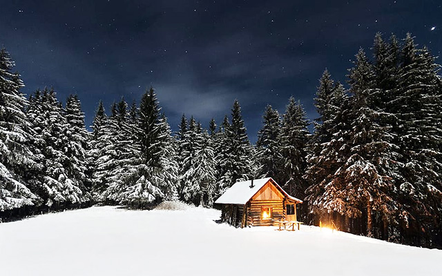 Winter Cabin Survival