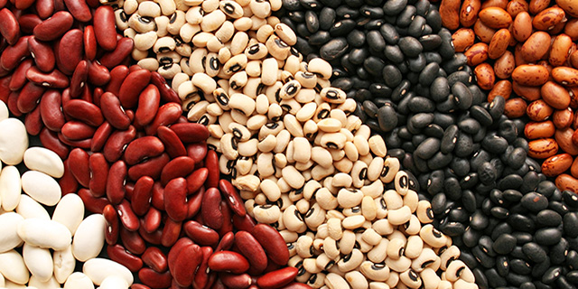dried beans survival