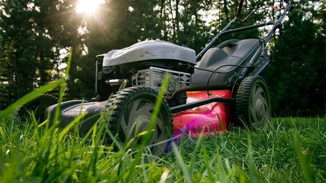 tools for the perfect lawn