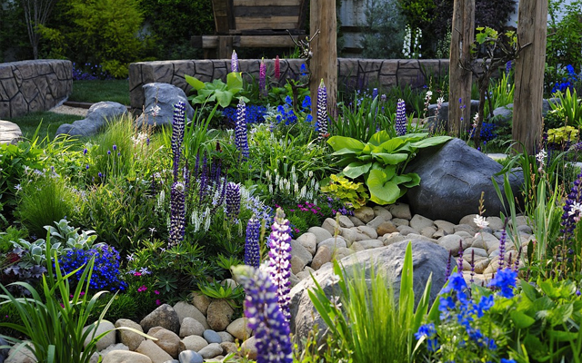 flower gardens backyard