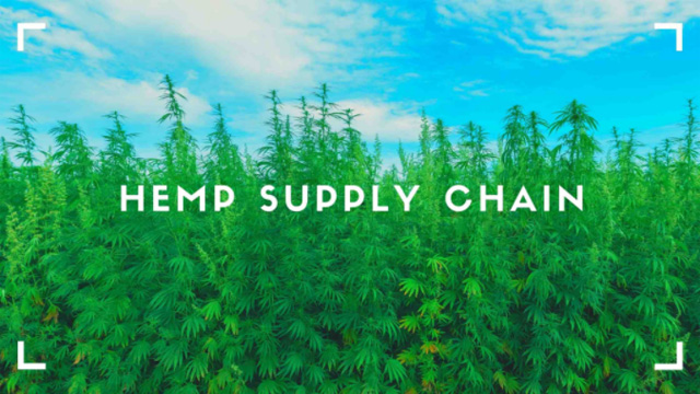 hemp farming supply chain
