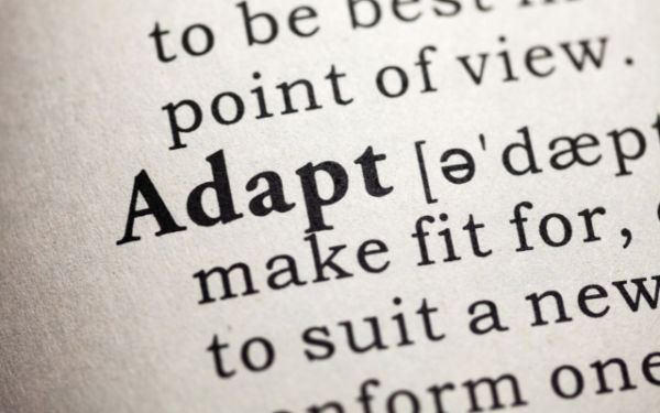 The word adapt in bold with faded dictionary definition