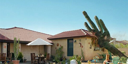 cactus roof tree damage repair